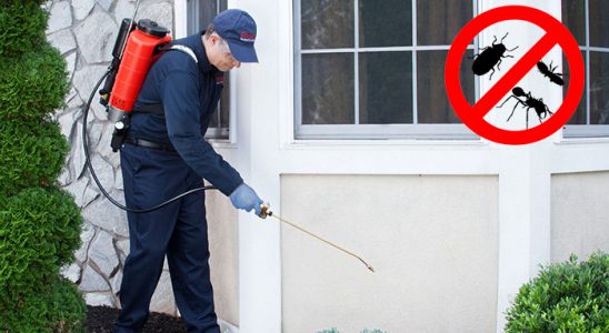 Kozaklı Kene İlaçlama böcek ilaçlama ve haşere kontrolü — ilaclama-tr.com